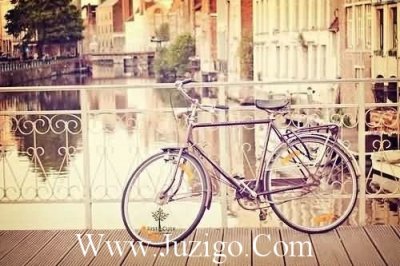 ​2023虎年春节朋友圈文案虎年春节朋友圈文案(精选77句)