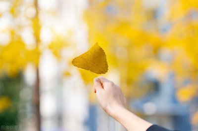 ​初冬的唯美句子大全（初冬唯美句子，美好冬天暖心文案精选个性签名）
