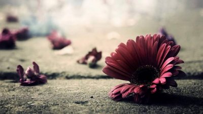 ​两人牵手唯美句子  伸手需要一瞬间，牵手却要很多年