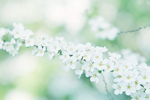 优美抒情的句子88句