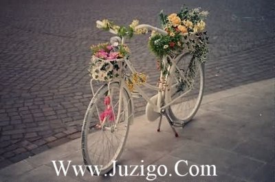 ​萌芽经典语句萌芽的语句(精选55句)