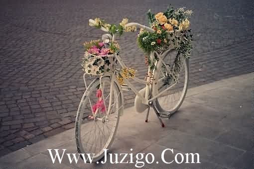 萌芽经典语句萌芽的语句(精选55句)