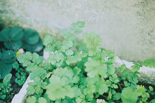 求婚唯美句子82句