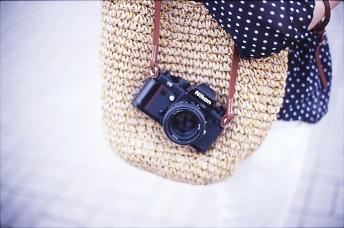 表达爱意的诗词唯美