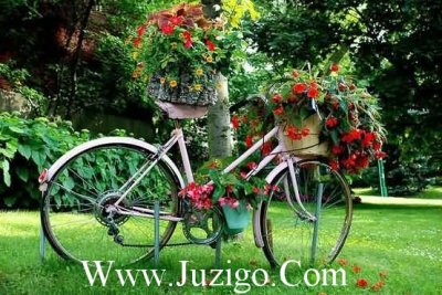 ​《曾少年》小说经典语录摘抄(一禅小和尚经典语录)