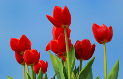 ​离别后各自珍重的文案：遇见时，好好珍惜； 离别后，各自安好