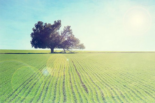 给好友留言的暖心话 对朋友说的话(90句)