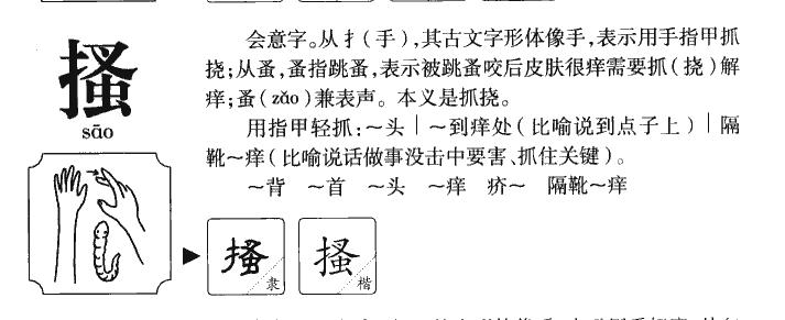 搔字组词（搔字组词是啥）