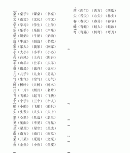 ​一年级什shen怎么组词（汉字什的组词和意思）