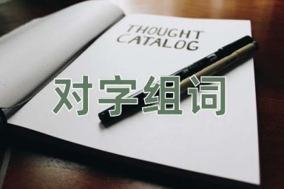 ​对字怎么组词