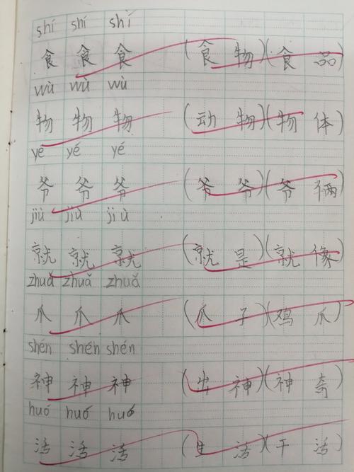 抄组词（抄的组词）