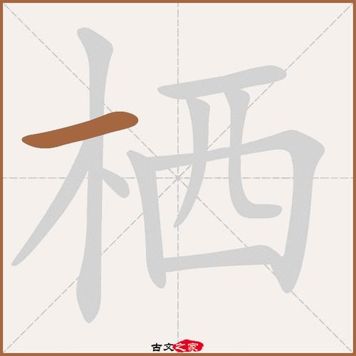 栖怎么读组词(栖的读音和组词)