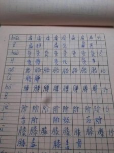 ​肚怎么组词（肚组词有什么）