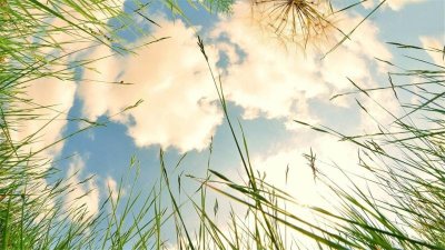 ​平凡而不平庸经典句子（6句平庸的经典语录）