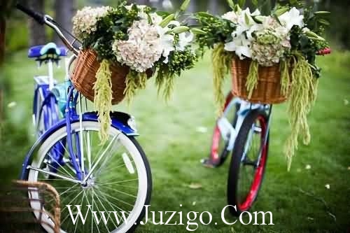 520想说的话,挑一句说给喜欢的人听