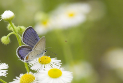 ​2023年快手最招财网名(1536个)