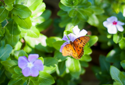 ​微信值得推荐的网名大全(精选1514个)