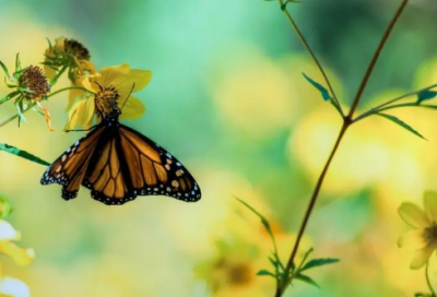 ​适合传奇的名字大全(1502个)