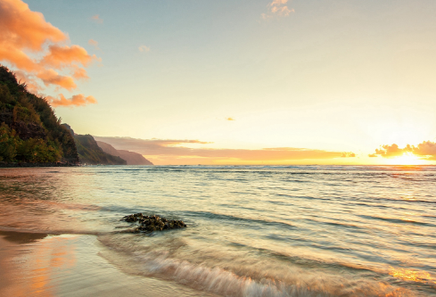 1688686427133148.png image.png