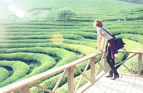 唯美的说说带图片