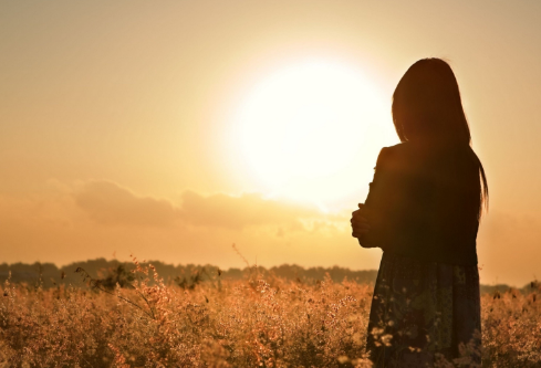 1688875518537509.png image.png