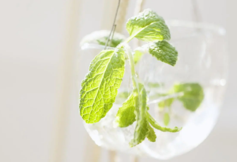 1683092393778487.png image.png