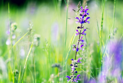 ​女生伤感个性网名467个