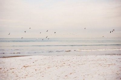 ​儿子不孝顺父母的经典句子说儿子不孝的经典说(20句)