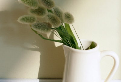 ​好的个性网名505个