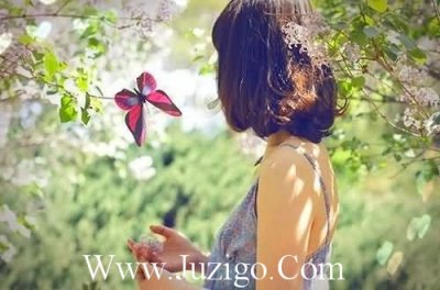 ​适合发荷花的朋友圈语句(适合日落发朋友圈的句子)