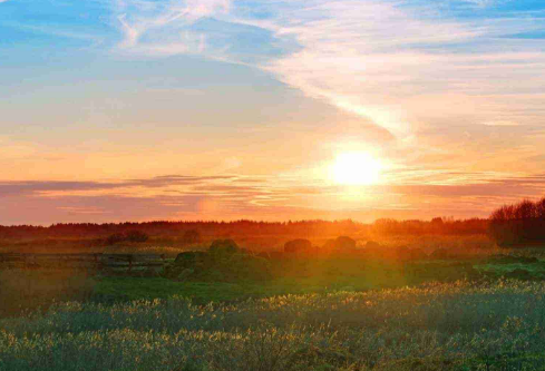 1689268858128682.png image.png