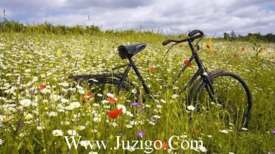 ​致毕业的青春句子简短祝愿未来可期的句子(精选60句)