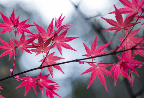 1689277024186155.png image.png