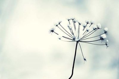 ​七夕经典微信80句