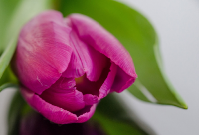 ​网络名字大全男孩400个