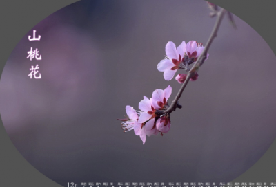 ​好听有意义的三字网名(优选472个)