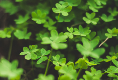 ​qq伤感情侣网名200个