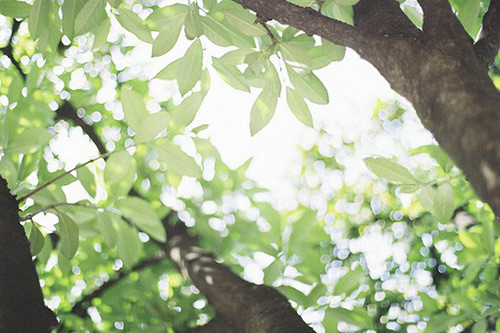 名著经典语录大全83句