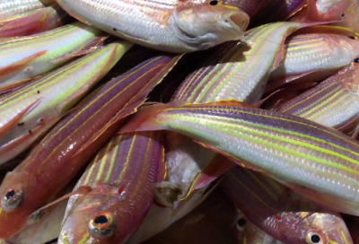 ​最拽的qq网名225个