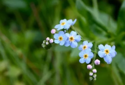 ​经典怀旧伤感的网名大全211个