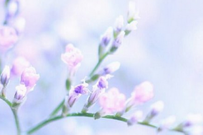 ​炫酷网名、咸鱼大队