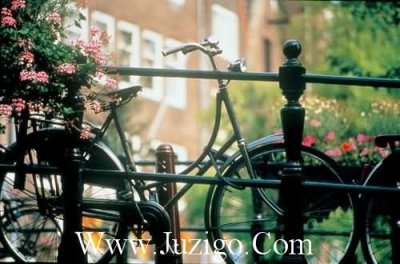 ​高情商的晚安句子晚安怎么幽默回复(精选35句)