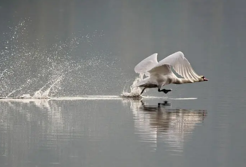 1685037428114980.png image.png