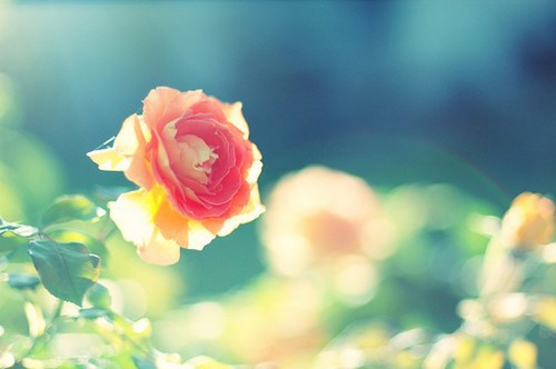 藏地密码经典语录51句