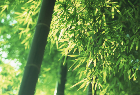 1686285952368954.png image.png