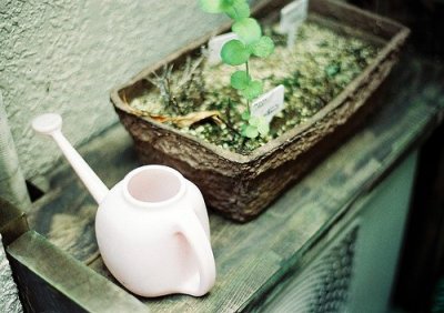 ​失望的网名女生、久伴我。