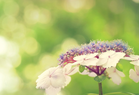 1683973233131066.png image.png