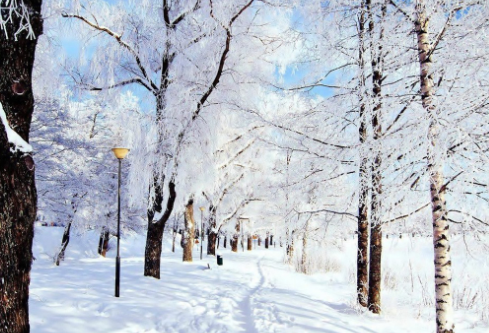 1685708090137181.png image.png