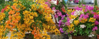 ​捕鱼游戏网名超拽霸气、折骨成诗