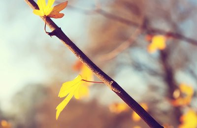 ​qq说说伤感qq说说伤感男生心累了(18句)